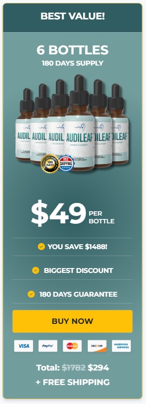 AudiLeaf 6 Bottle Price
