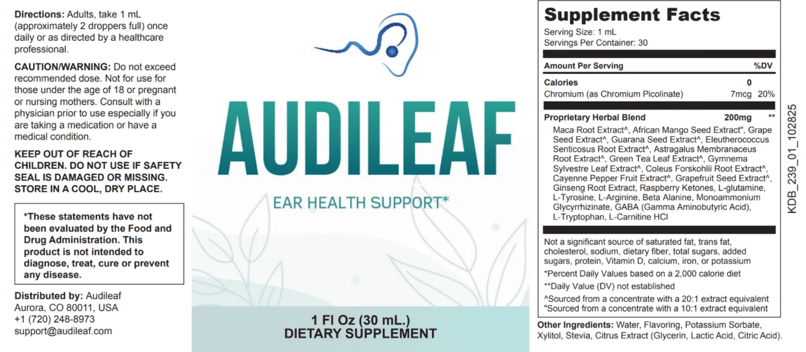 AudiLeaf Lebel